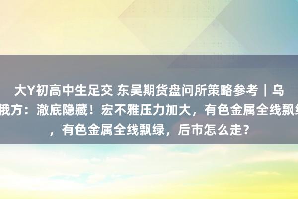 大Y初高中生足交 东吴期货盘问所策略参考｜乌军攻入俄境内，俄方：澈底隐藏！宏不雅压力加大，有色金属全线飘绿，后市怎么走？