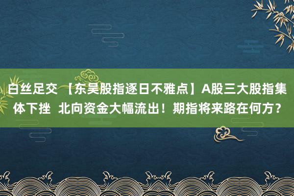 白丝足交 【东吴股指逐日不雅点】A股三大股指集体下挫  北向资金大幅流出！期指将来路在何方？