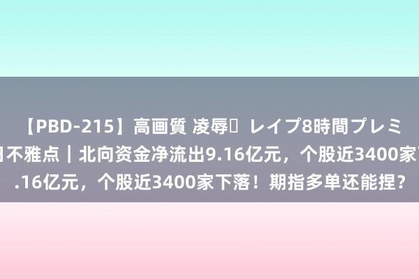 【PBD-215】高画質 凌辱・レイプ8時間プレミアムBEST 东吴股指逐日不雅点｜北向资金净流出9.16亿元，个股近3400家下落！期指多单还能捏？