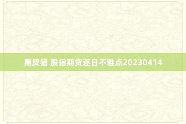 黑皮猪 股指期货逐日不雅点20230414