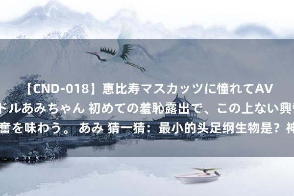 【CND-018】恵比寿マスカッツに憧れてAVデビューした素人アイドルあみちゃん 初めての羞恥露出で、この上ない興奮を味わう。 あみ 猜一猜：最小的头足纲生物是？神奇海洋7月25日正确谜底