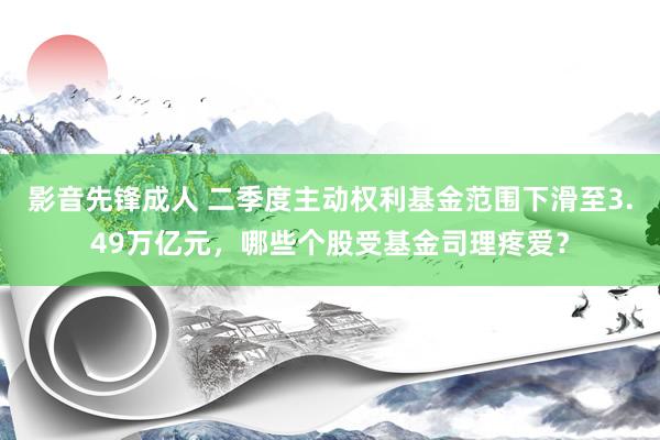 影音先锋成人 二季度主动权利基金范围下滑至3.49万亿元，哪些个股受基金司理疼爱？