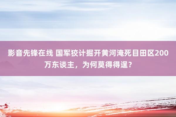 影音先锋在线 国军狡计掘开黄河淹死目田区200万东谈主，为何莫得得逞？