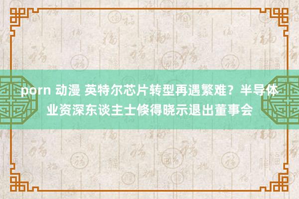 porn 动漫 英特尔芯片转型再遇繁难？半导体业资深东谈主士倏得晓示退出董事会