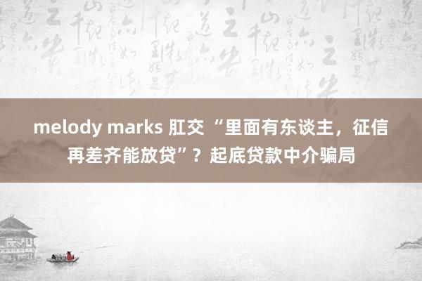 melody marks 肛交 “里面有东谈主，征信再差齐能放贷”？起底贷款中介骗局