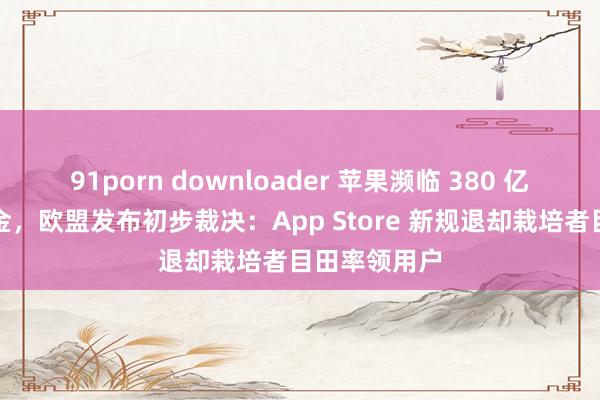 91porn downloader 苹果濒临 380 亿好意思元罚金，欧盟发布初步裁决：App Store 新规退却栽培者目田率领用户