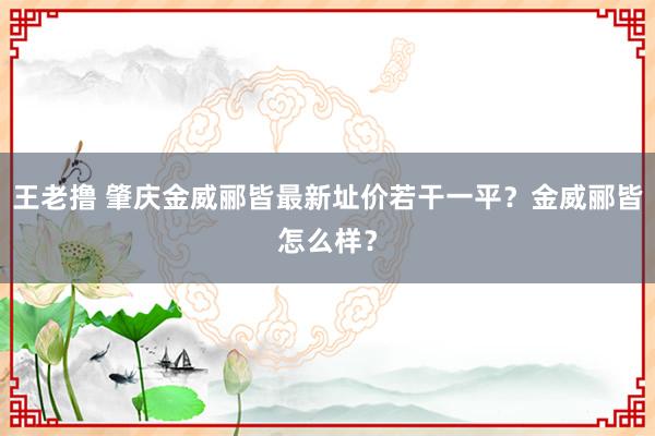 王老撸 肇庆金威郦皆最新址价若干一平？金威郦皆怎么样？